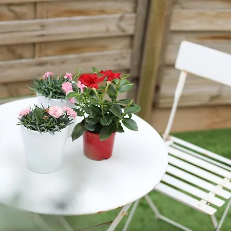 Sunny Terrasse, Hypercentre La A 2 Pas !