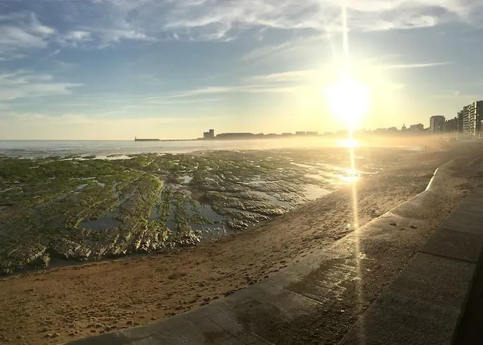 Lejlighed Sunny Terrasse, Hypercentre La A 2 Pas ! Les Sables-dʼOlonne