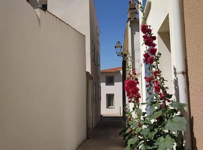 Sunny Terrasse, Hypercentre La A 2 Pas !